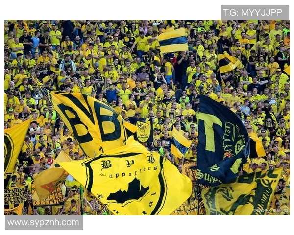 多特蒙德与皇马激战1718赛季欧冠小组赛精彩回顾与分析