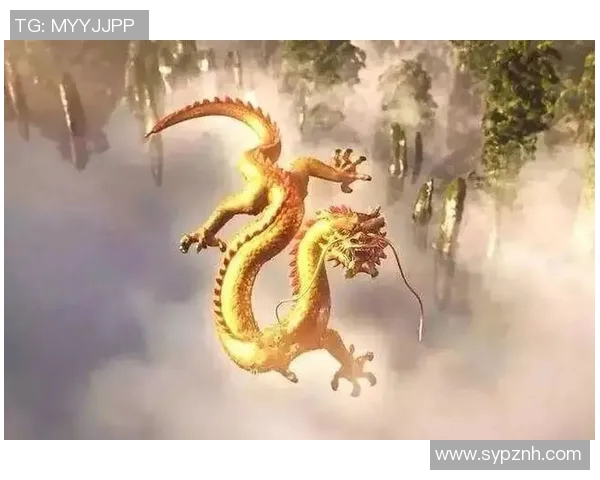 可兰白克的传奇人生与不屈精神探索之旅 可兰白克的传奇人生与不屈精神探索之旅