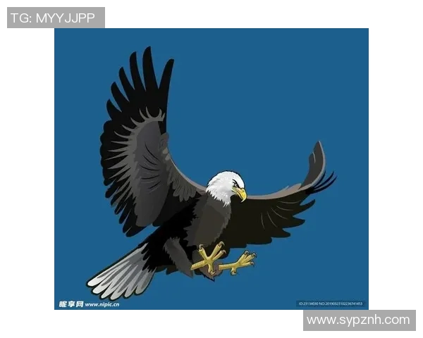 太阳与老鹰比赛大小分分析及推荐策略分享