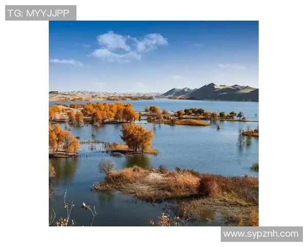 探索阿拉巴的历史文化与自然风光之美，感受独特的地域魅力与人文气息