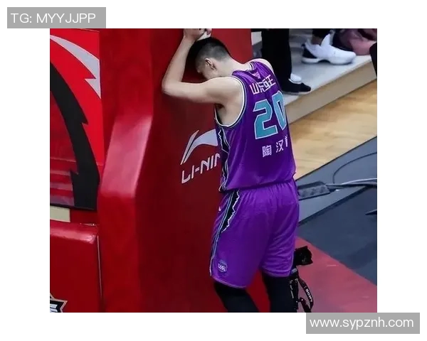 陶汉林：从篮球场上的拼搏到生活中的坚韧，展现运动员的多重人生价值