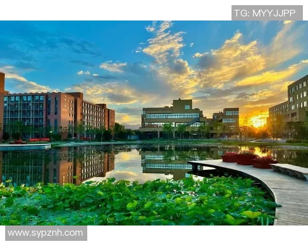 北京排球队心理素质分析与提升策略研究MBA