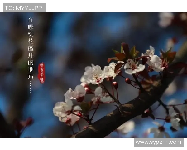 林葳的成长之路：从青涩学子到职场精英的蜕变与思考