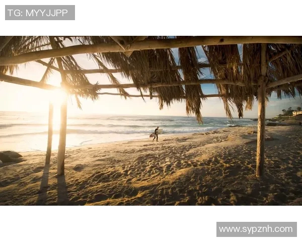 极限运动战术探讨西安极限运动队边路渗透体系的创新与实践MBA