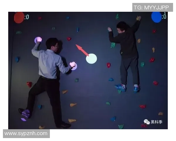 南京攀岩队在比赛中的整体表现分析与得失总结